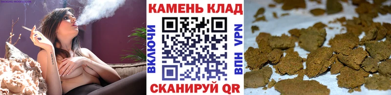 купить наркотики цена Сураж kraken ССЫЛКА ГАШИШ индика сатива