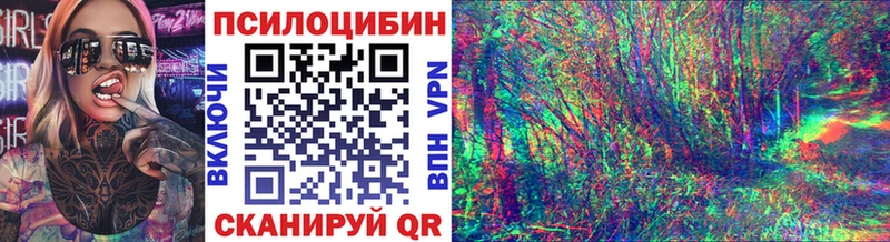 Псилоцибиновые грибы мицелий  где купить наркоту  Сураж 