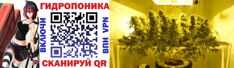 Бошки марихуана Bruce Banner  ссылка на мегу зеркало  Сураж 